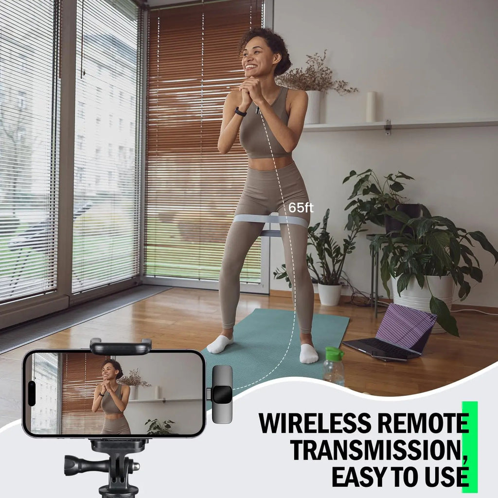 Basix Wireless Lavalier Microphone Audio Recording Mini Replaceable Windproof Wool Microphone for iPhone16 Shoot vlog YouTube Master Coach HQ